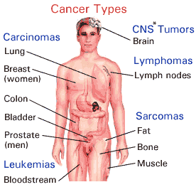 cancer_types-hamilyon.com