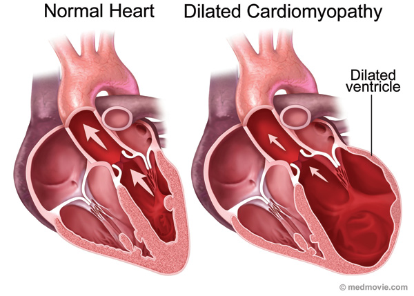 Noninvasive | Train ECG Check