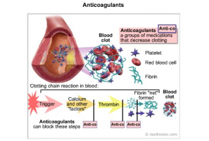anticoagulants-hamilyon-kalp-ilaclari
