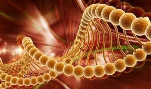 Türkiyede En Sık Görülen 10 Kanser Türü